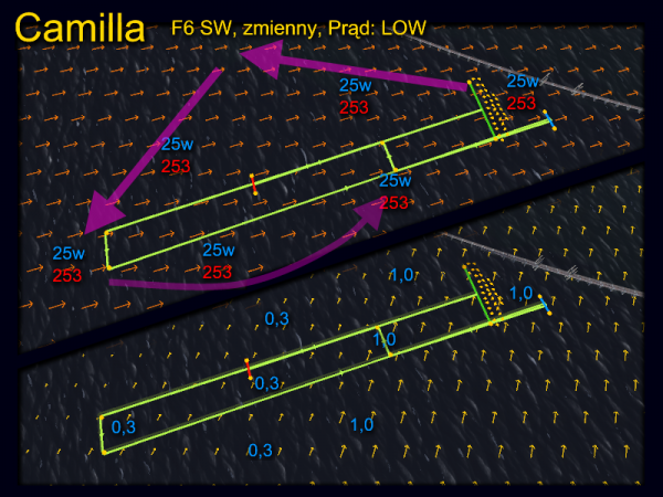 BL 12 Camilla.png